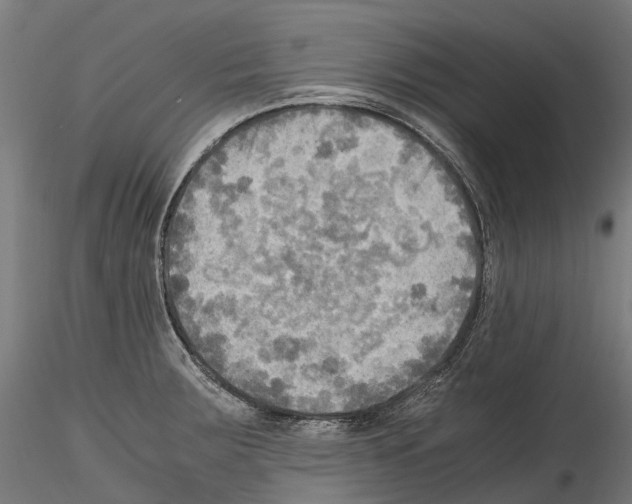 X0000114561283200911301239
