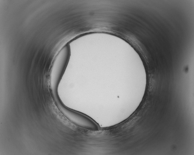 X0000114561284200911301239