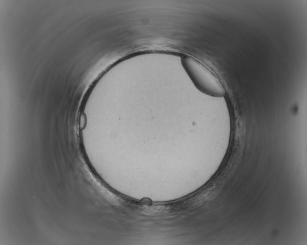 X0000114561285200911301239
