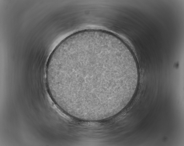 X0000114561287200911301239