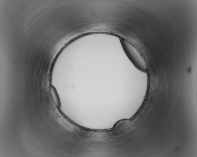 X0000114561288200911301239