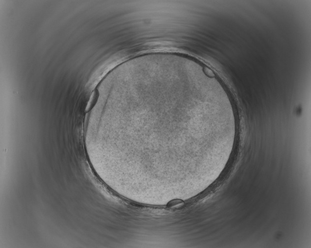 X0000114561289200911301239