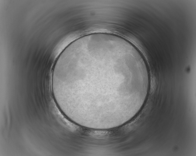 X0000114561290200911301239