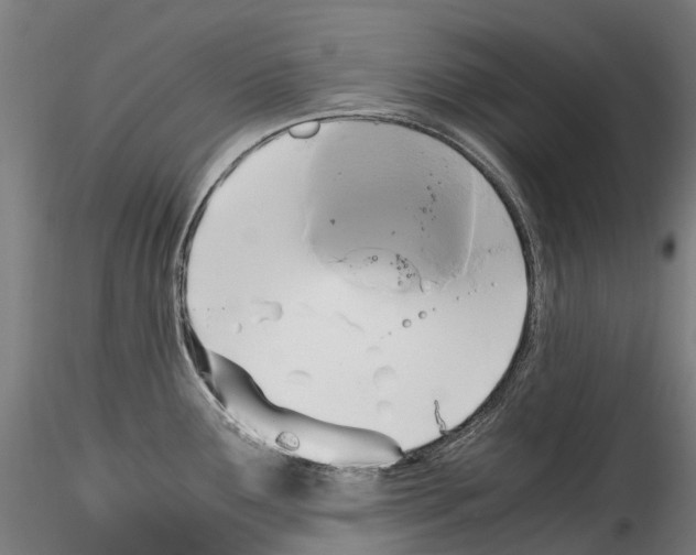 X0000114561291200911301239