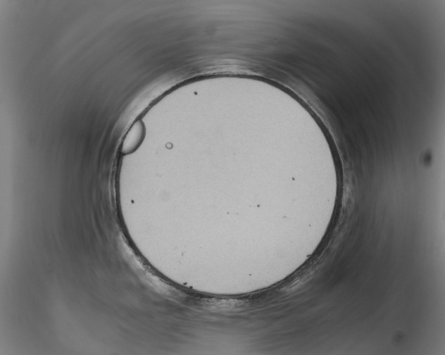 X0000114561293200911301239