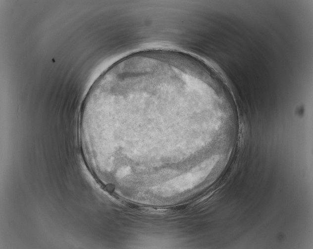 X0000114561295200911301239