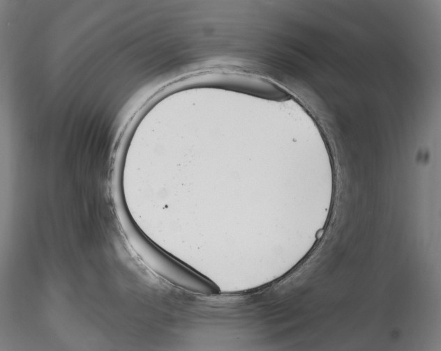 X0000114561296200911301239