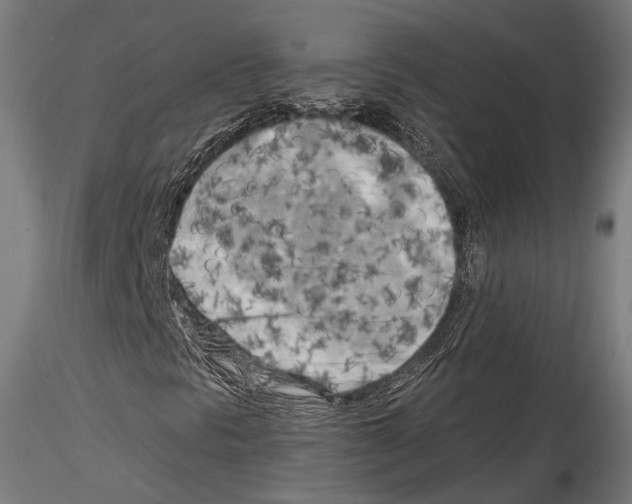 X0000114561297200911301238