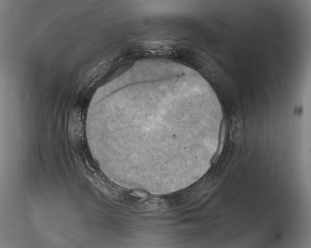 X0000114561298200911301238