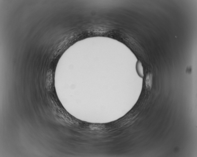 X0000114561299200911301238