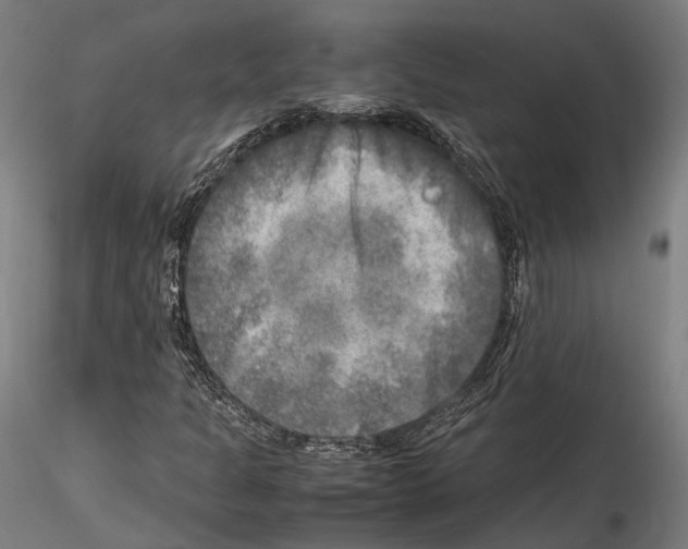 X0000114561301200911301238