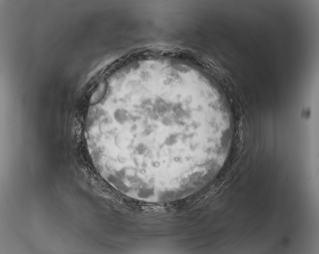 X0000114561302200911301238