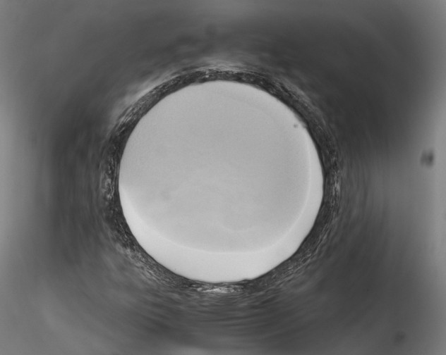 X0000114561303200911301238