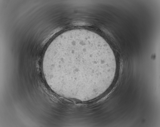 X0000114561305200911301238
