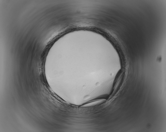 X0000114561306200911301238