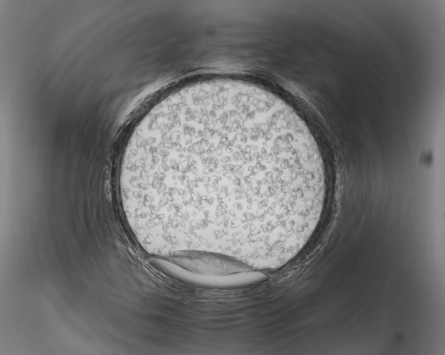 X0000114561307200911301238