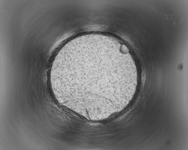 X0000114561309200911301238