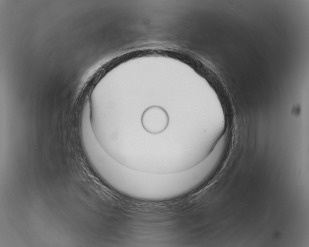 X0000114561310200911301238