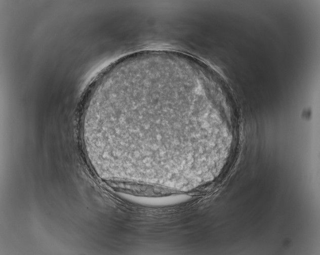X0000114561311200911301238