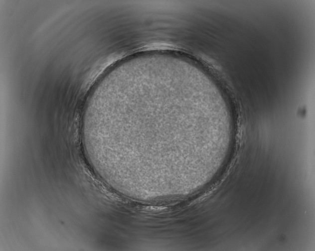 X0000114561313200911301238