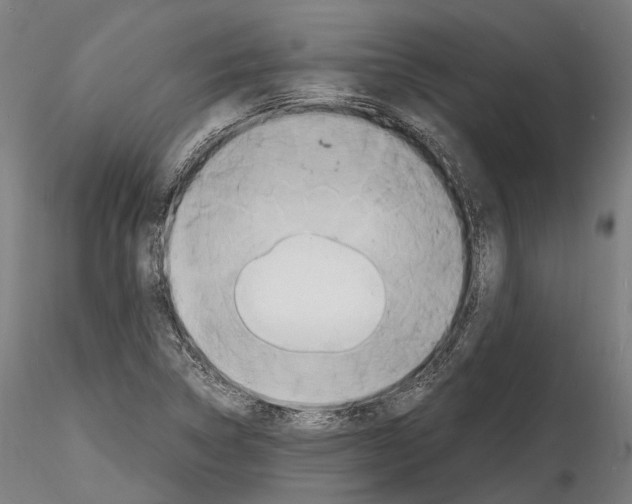 X0000114561314200911301239