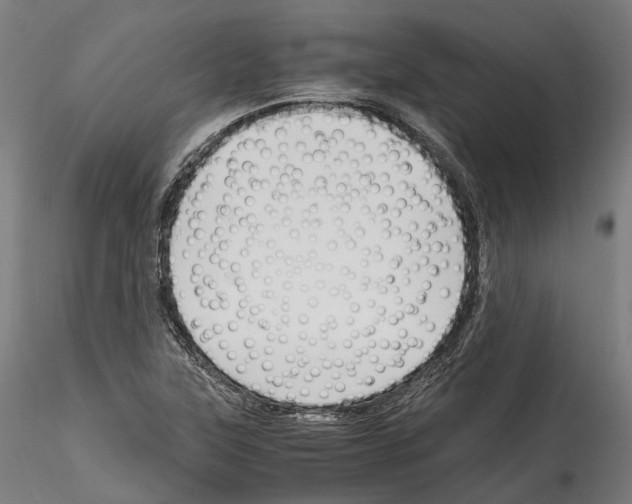 X0000114561315200911301239