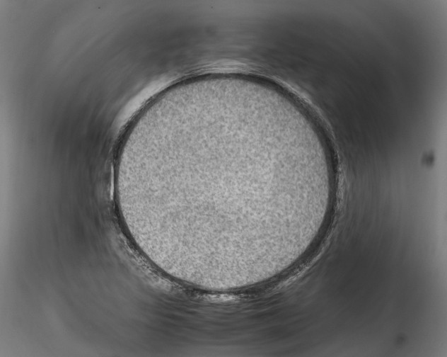 X0000114561317200911301239