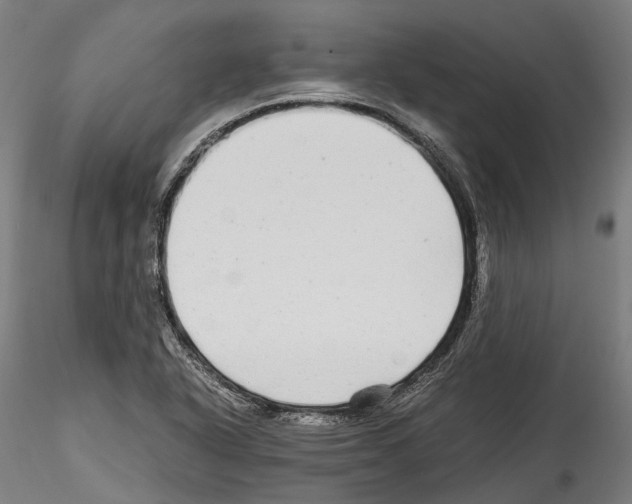 X0000114561318200911301239
