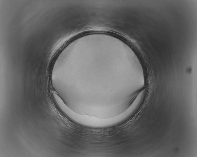 X0000114561319200911301239