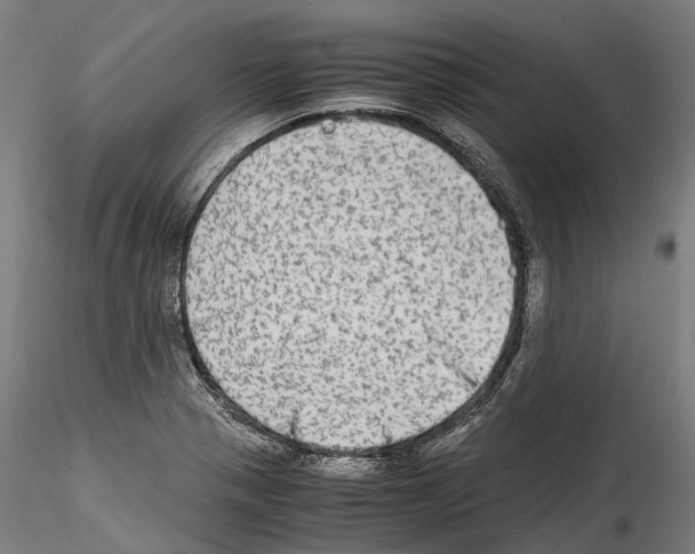 X0000114561321200911301239