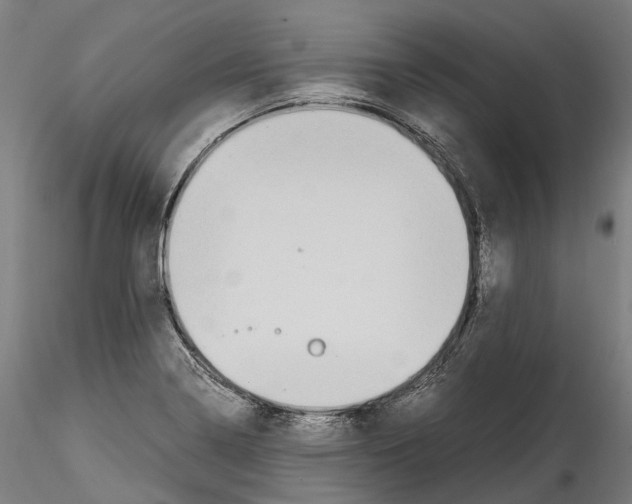 X0000114561322200911301239