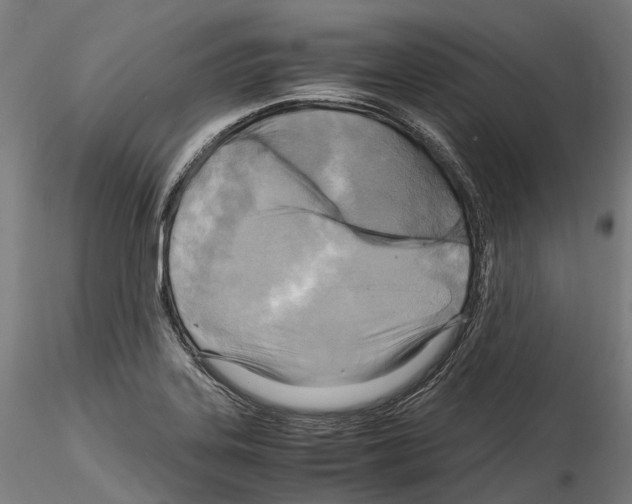X0000114561323200911301239