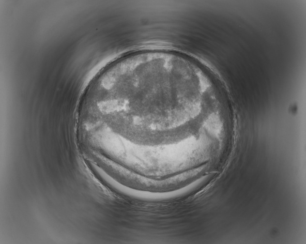 X0000114561325200911301239