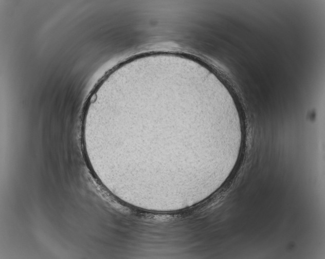 X0000114561326200911301239