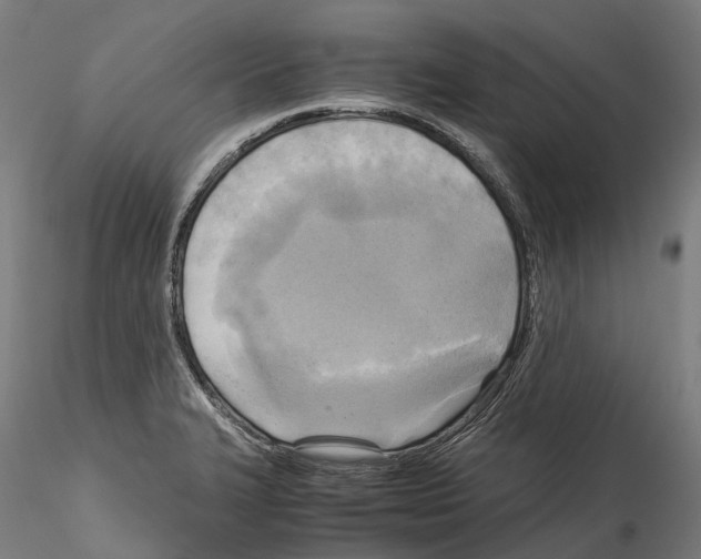 X0000114561327200911301239