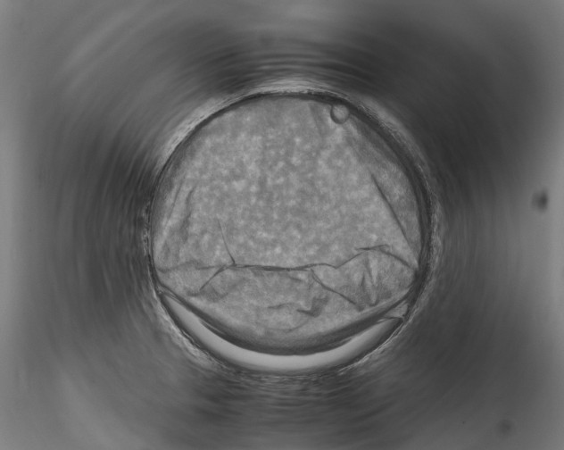 X0000114561329200911301239