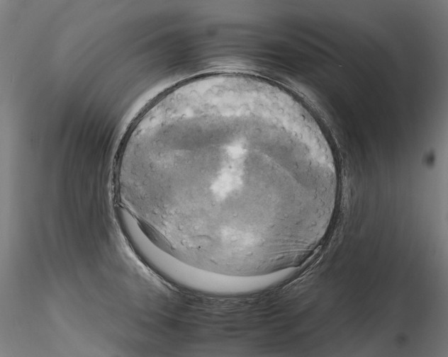 X0000114561331200911301239