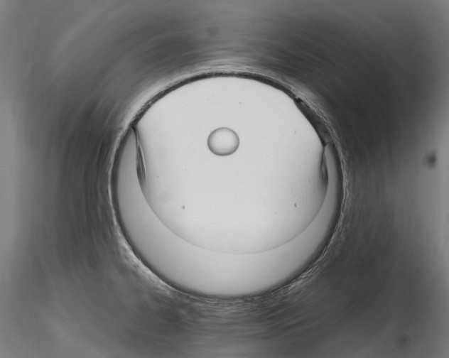 X0000114561334200911301239
