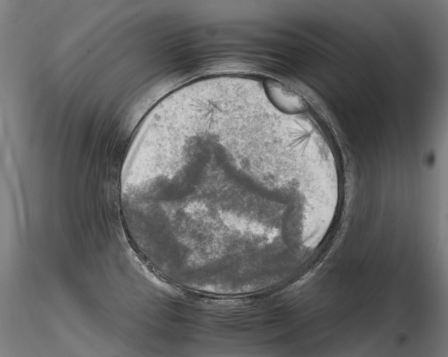 X0000114561337200911301239