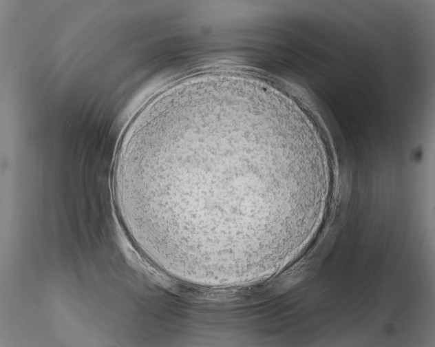 X0000114561338200911301239