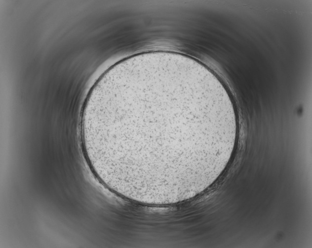 X0000114561339200911301239