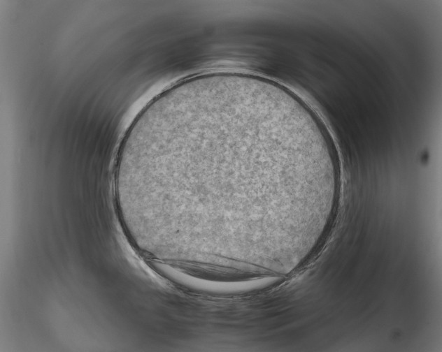 X0000114561341200911301239