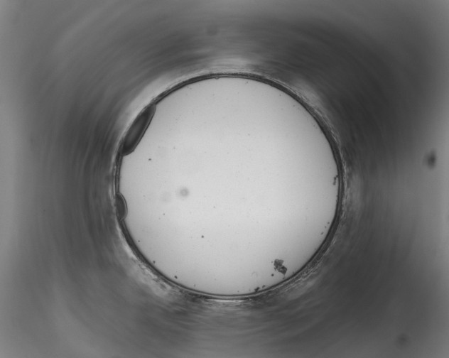 X0000114561342200911301239