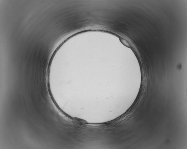 X0000114561343200911301239