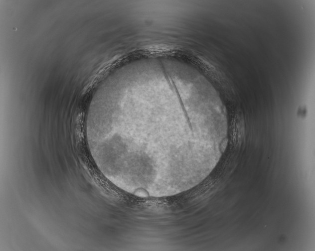 X0000114561346200911301238