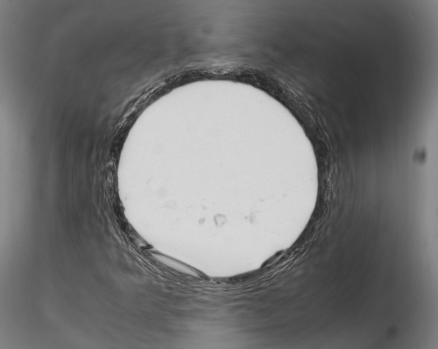 X0000114561349200911301238