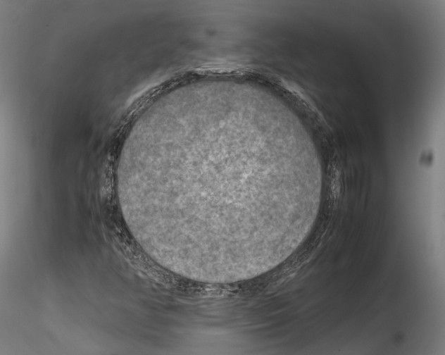 X0000114561350200911301238
