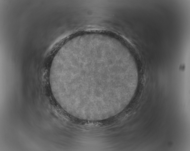 X0000114561351200911301238