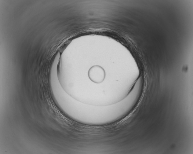 X0000114561353200911301238