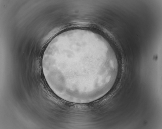 X0000114561354200911301238